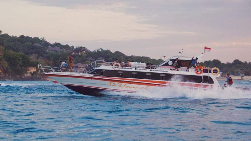 D'Camel Fast Boat
