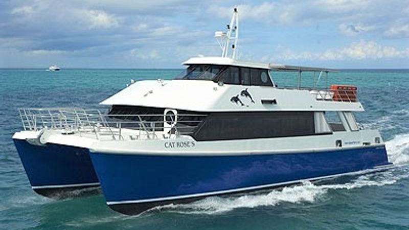 cat-roses-high-speed-ferry.jpg