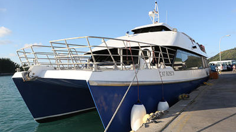 cat-roses-inter-island-ferry.jpg