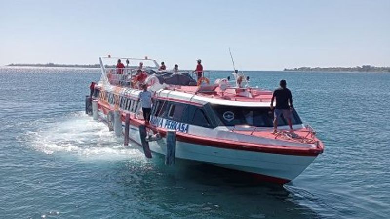 fast boat, wijaya
