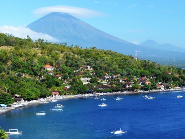 Amed