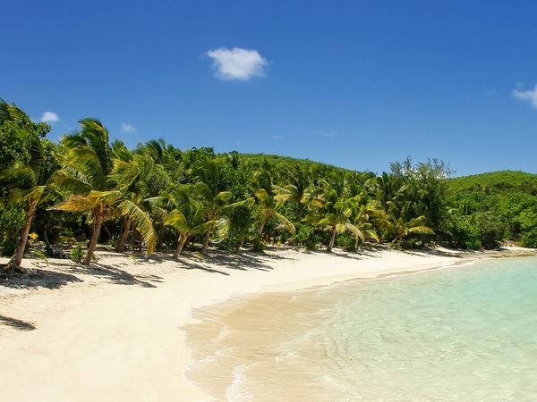 Mantaray Island