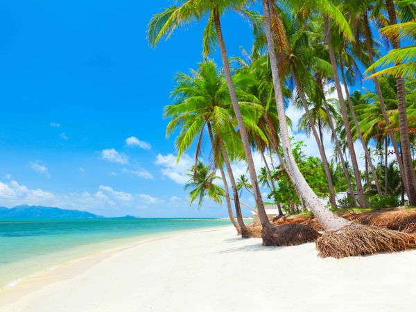 Koh Samui