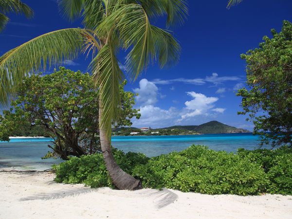 Sapphire Beach Marina