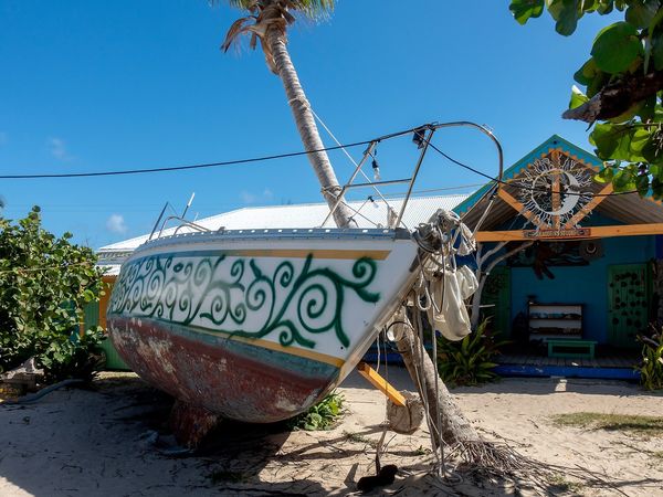 Beef Island Trellis Bay